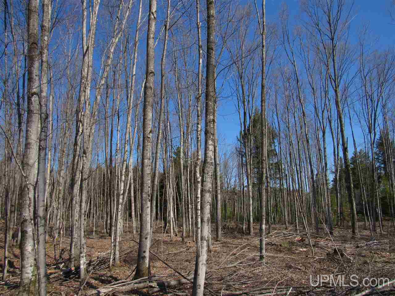 N2510 Co Rd Kch Big Bay, MI 49808 - Photo 15 of 39
