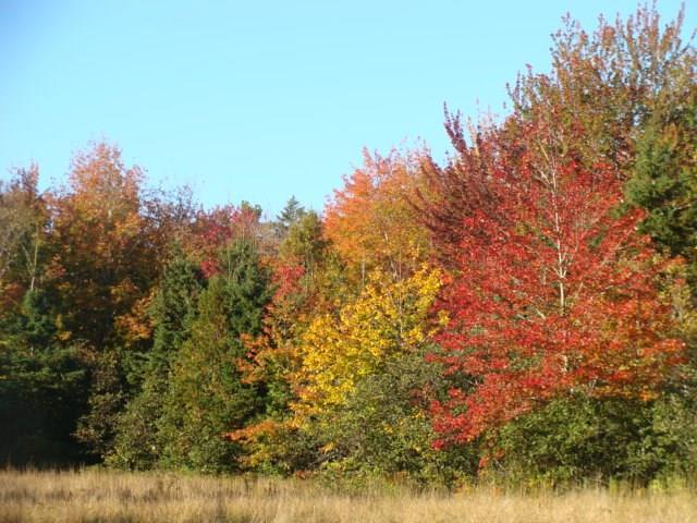 789 Leighton Point Road Pembroke, ME 04666 - Photo 12 of 29 Photo