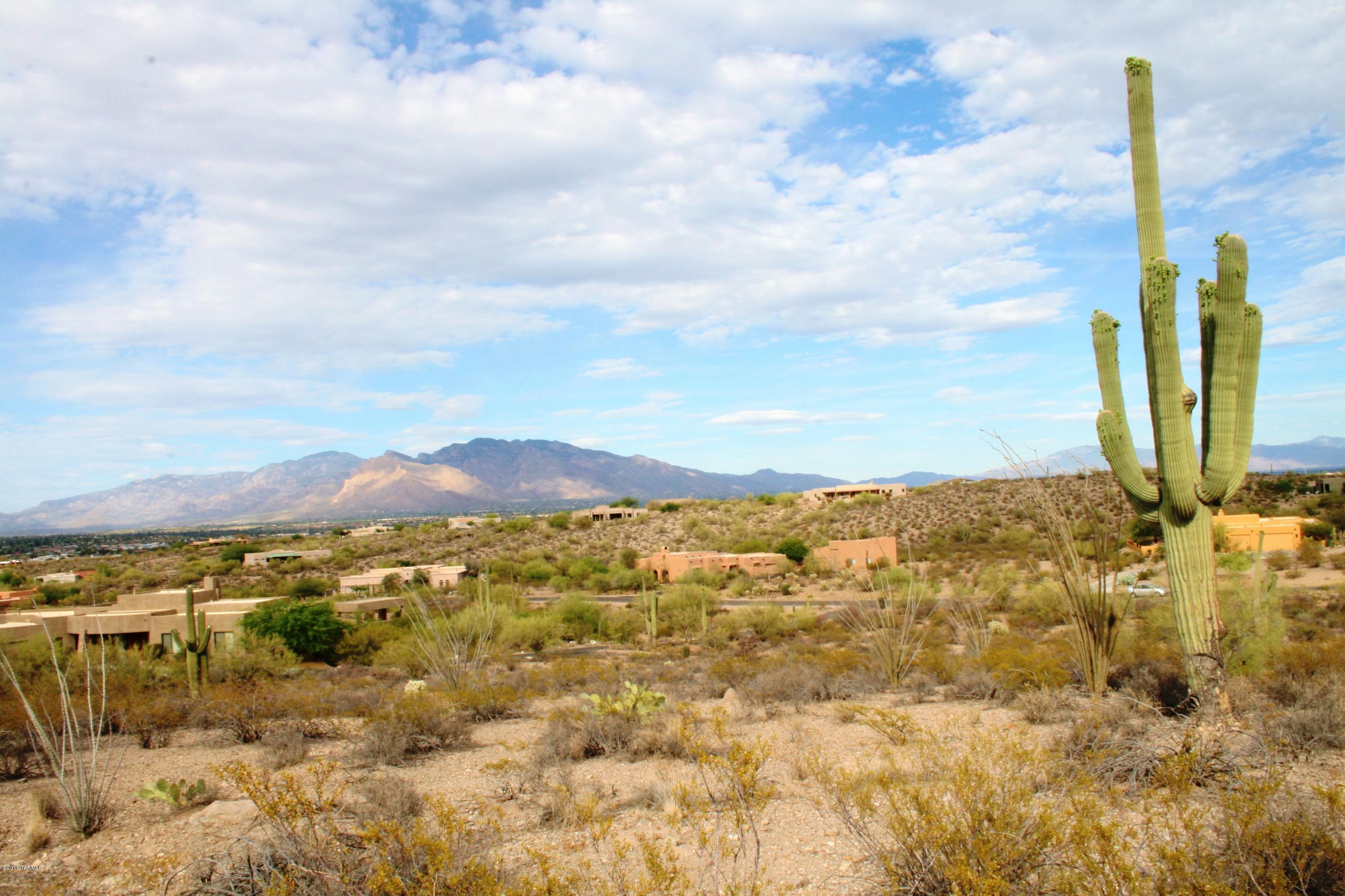 6075 North Abington Road, Unit LOT 4 Tucson, AZ 85743 - Photo 4 of 31