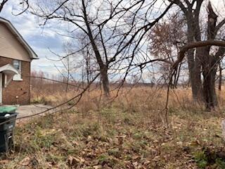 4100 Howard Street Hobart, IN 46342 - Photo 35 of 36 a view of a yard with plants and trees