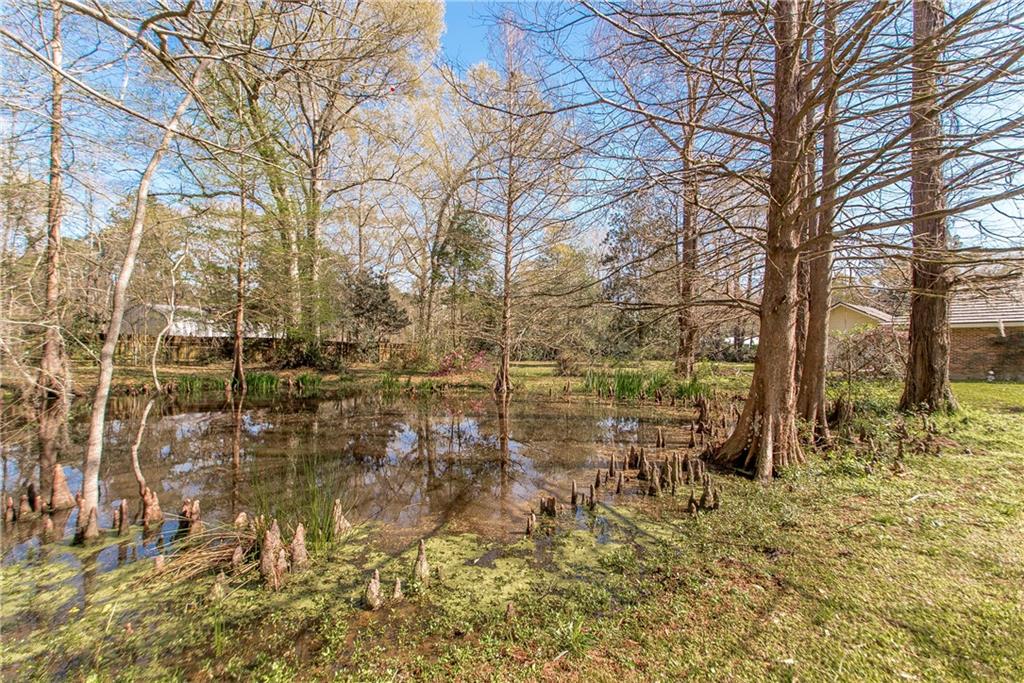 39369 Keaghey Road Ponchatoula, LA 70454 - Photo 3 of 19 Gallery Image 3
