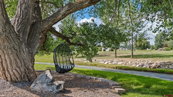 a view of a garden with a tree