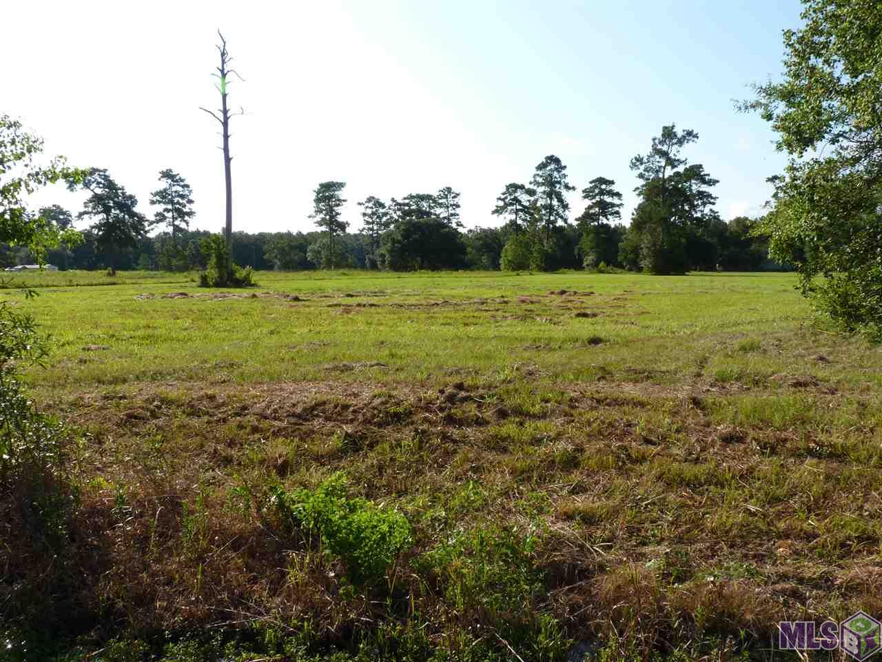 Lot 8 Lynda Springfield, LA 70462 - Photo 2 of 4
