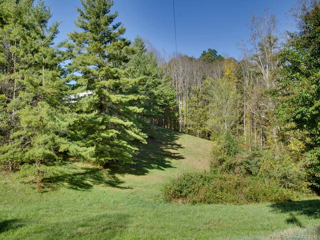1219 Alexander Road Leicester, NC 28748 - Photo 23 of 24 Gallery Image 23