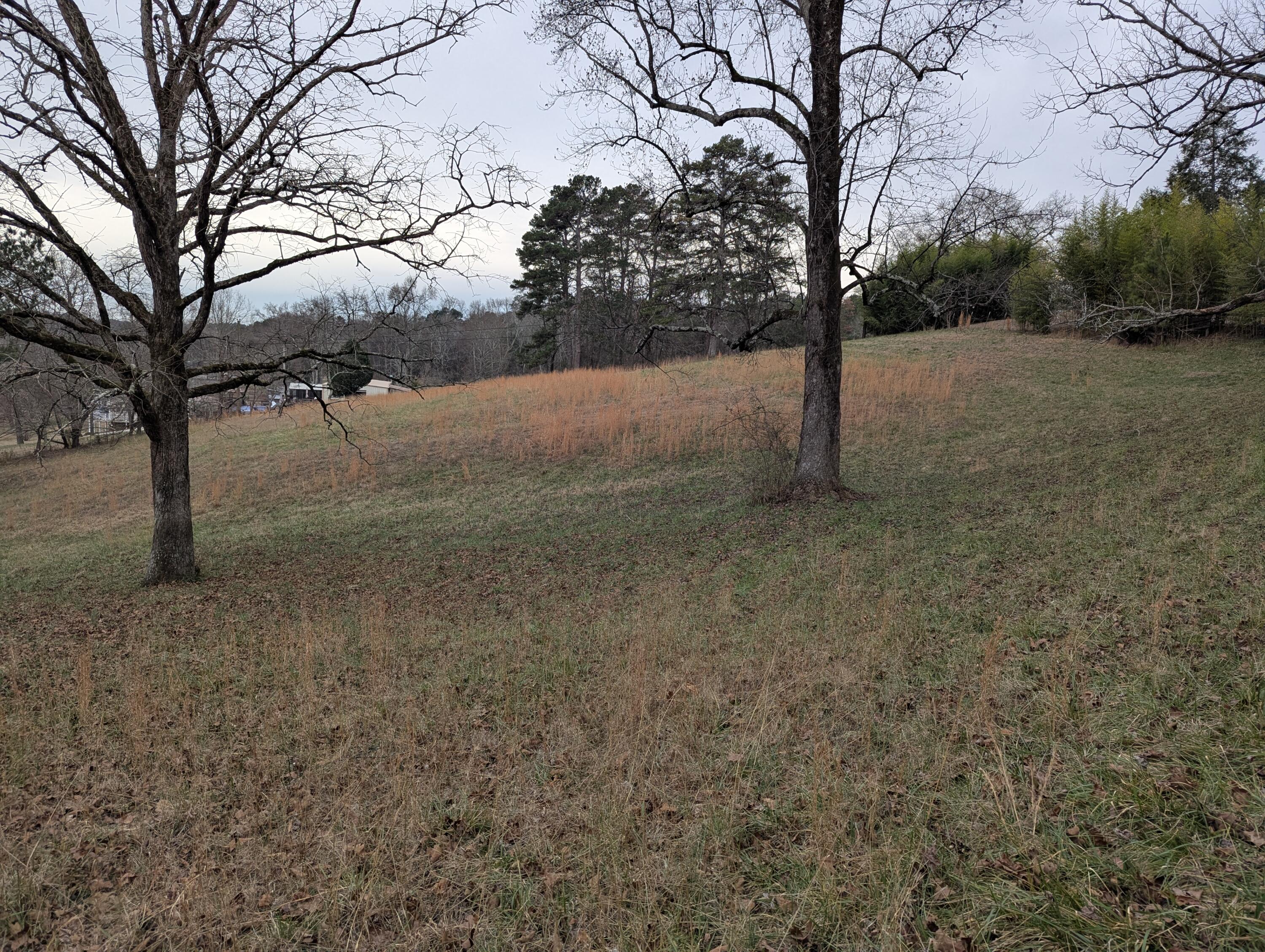 1484 Blythes Ferry Road Dayton, TN 37321 - Photo 23 of 27 PXL_20260102_211242703