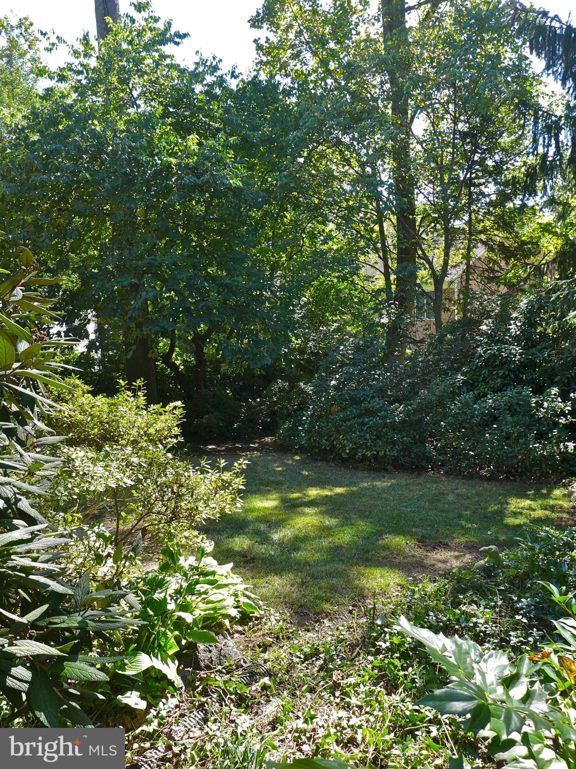 5308 Carvel Road Bethesda, MD 20816 - Photo 20 of 25 Garden