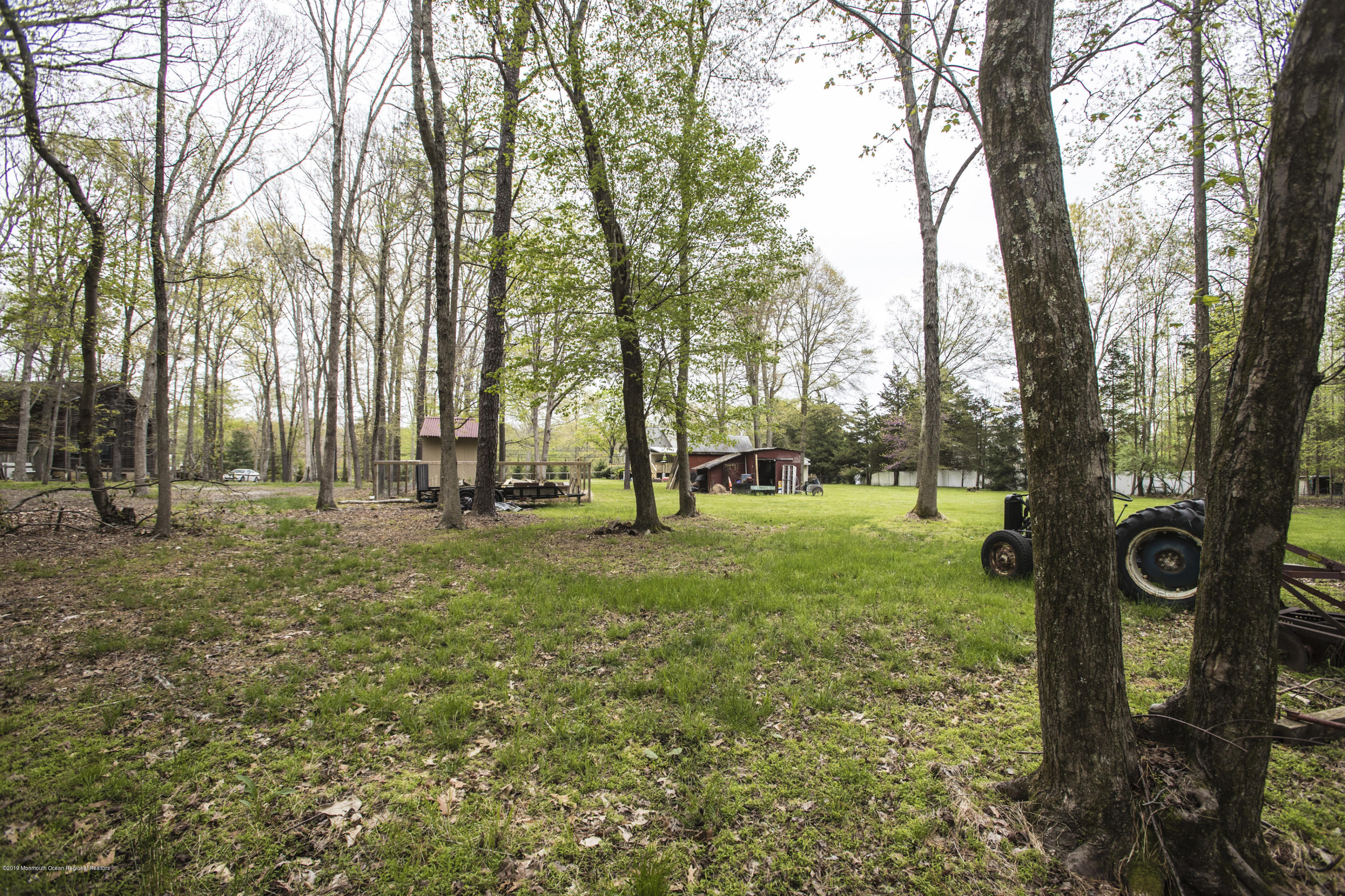 204 Leesville Road Jackson, NJ 08527 - Photo 29 of 49 a view of yard with tree