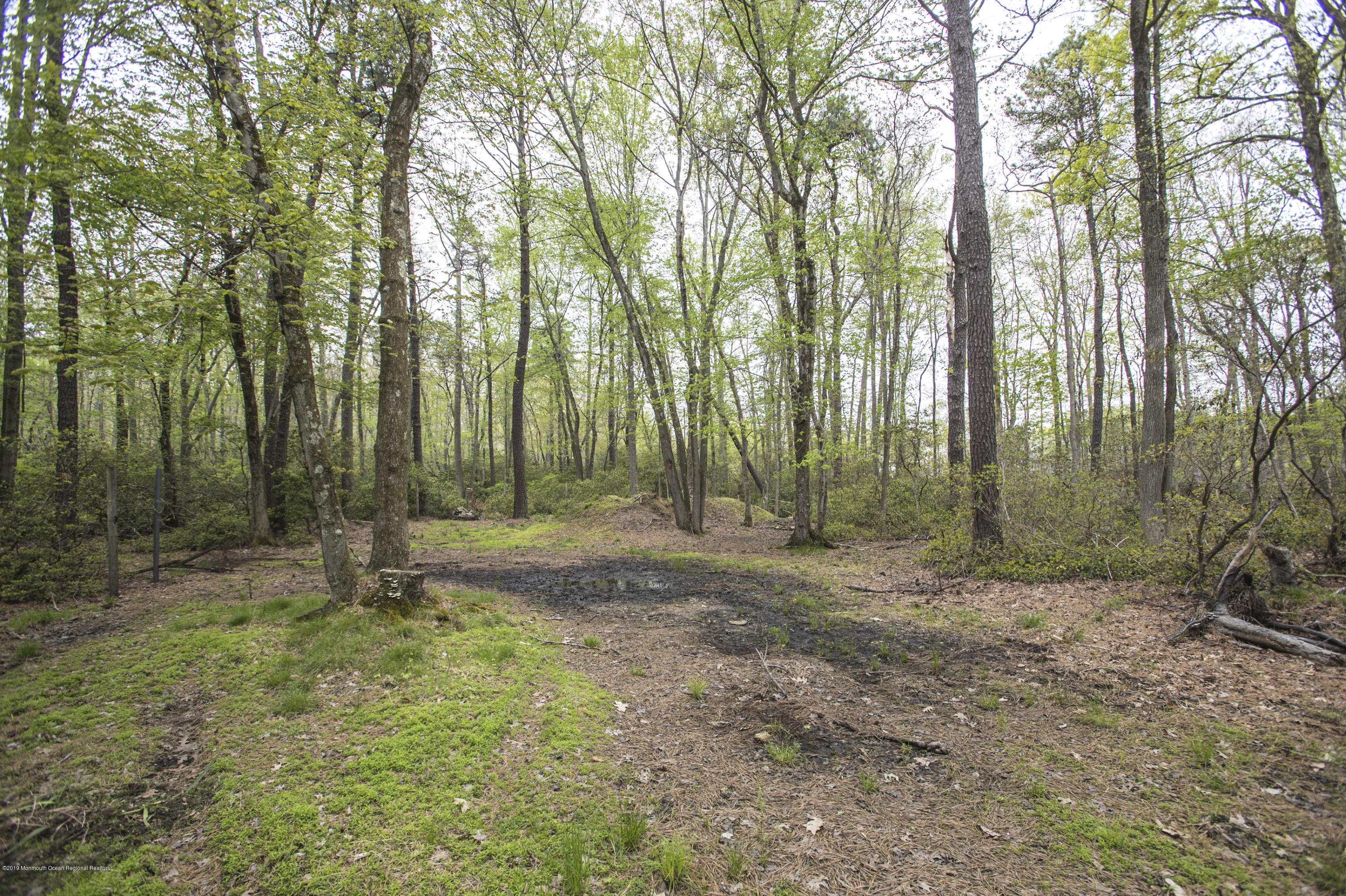 204 Leesville Road Jackson, NJ 08527 - Photo 30 of 49 a view of outdoor space with green space