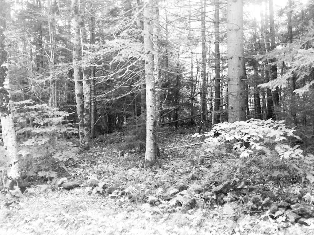 1735 Butz Road Granville, VT 05747 - Photo 31 of 39 Gallery Image 31