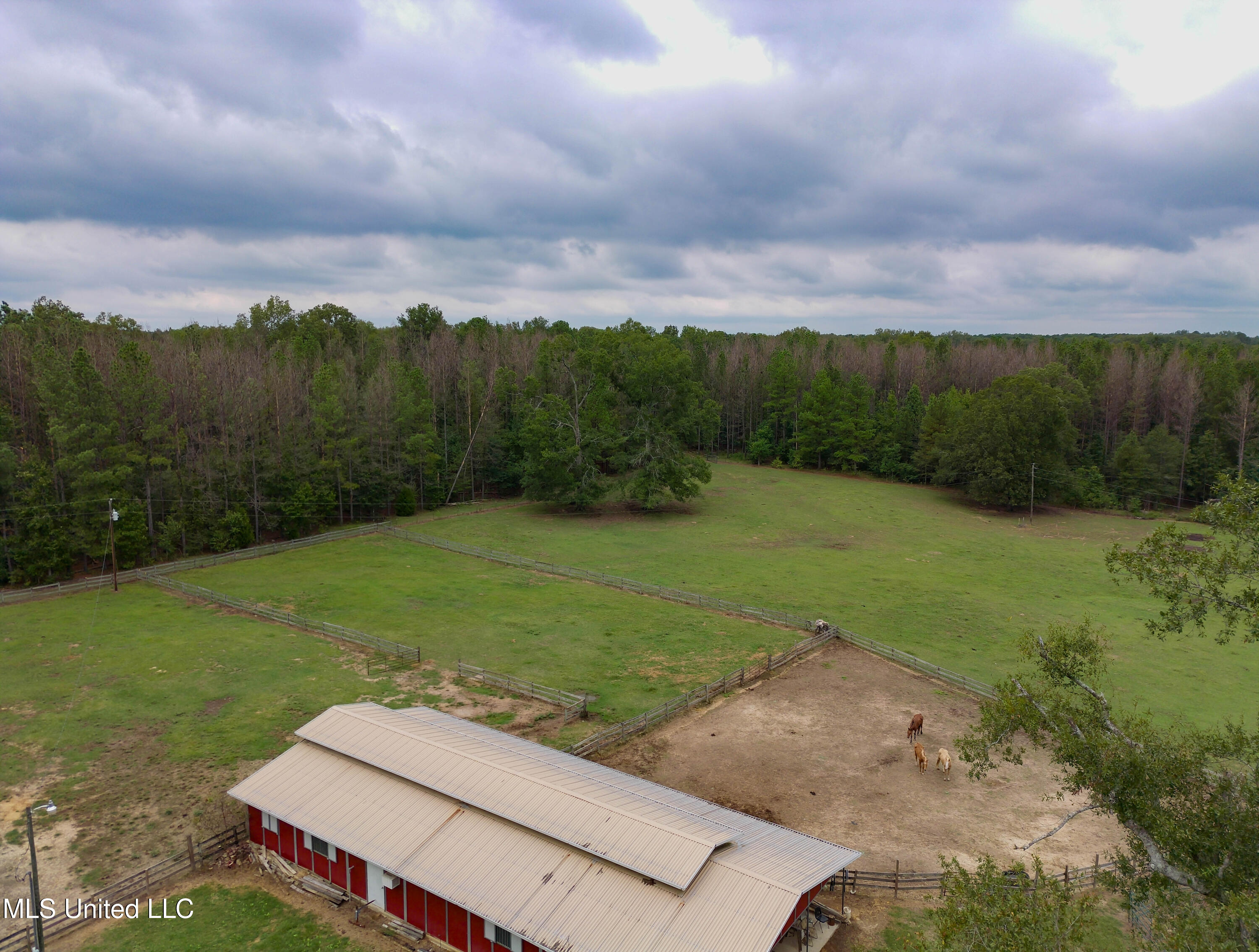 Taylor Way Brandon, MS 39047 - Photo 12 of 18 Taylor Way Brandon-9 (1)