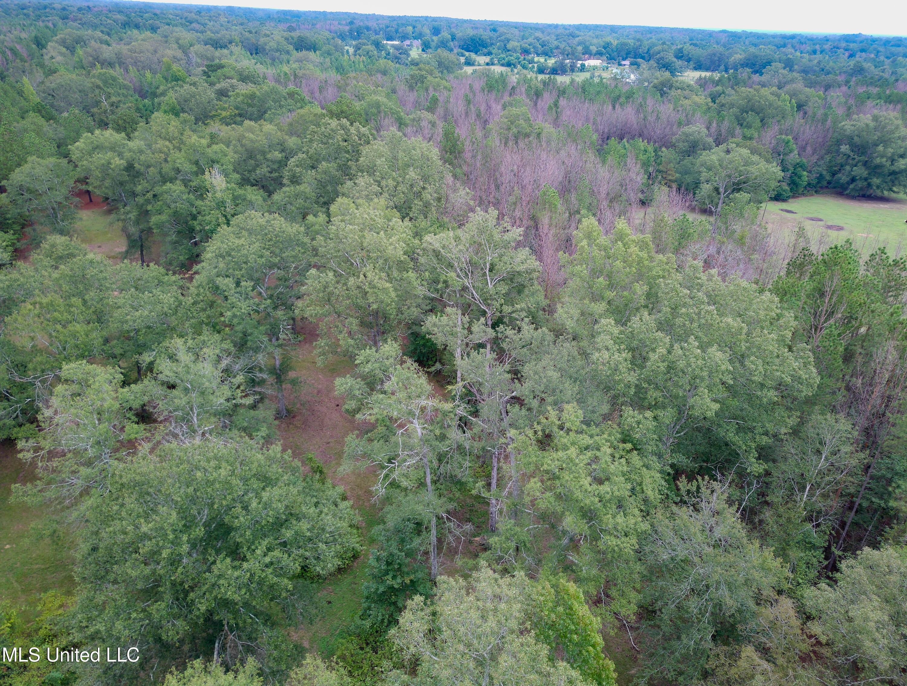 Taylor Way Brandon, MS 39047 - Photo 16 of 18 Taylor Way Brandon-3 (1)
