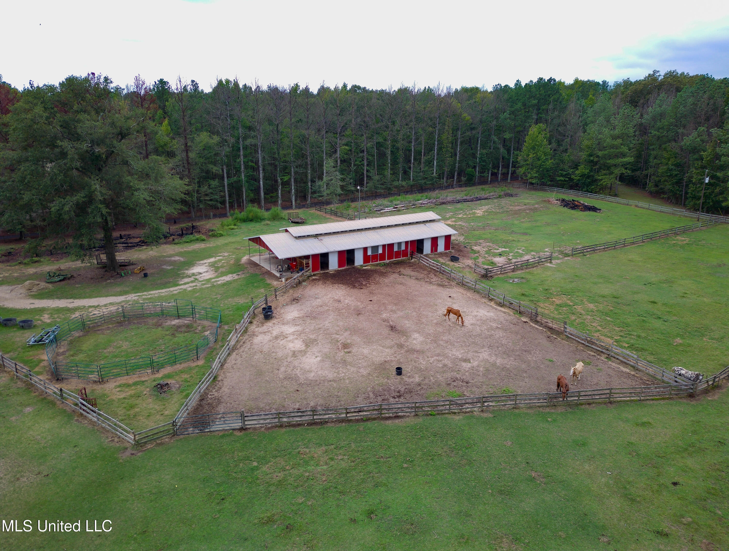 Taylor Way Brandon, MS 39047 - Photo 17 of 18 Taylor Way Brandon-17 (2)