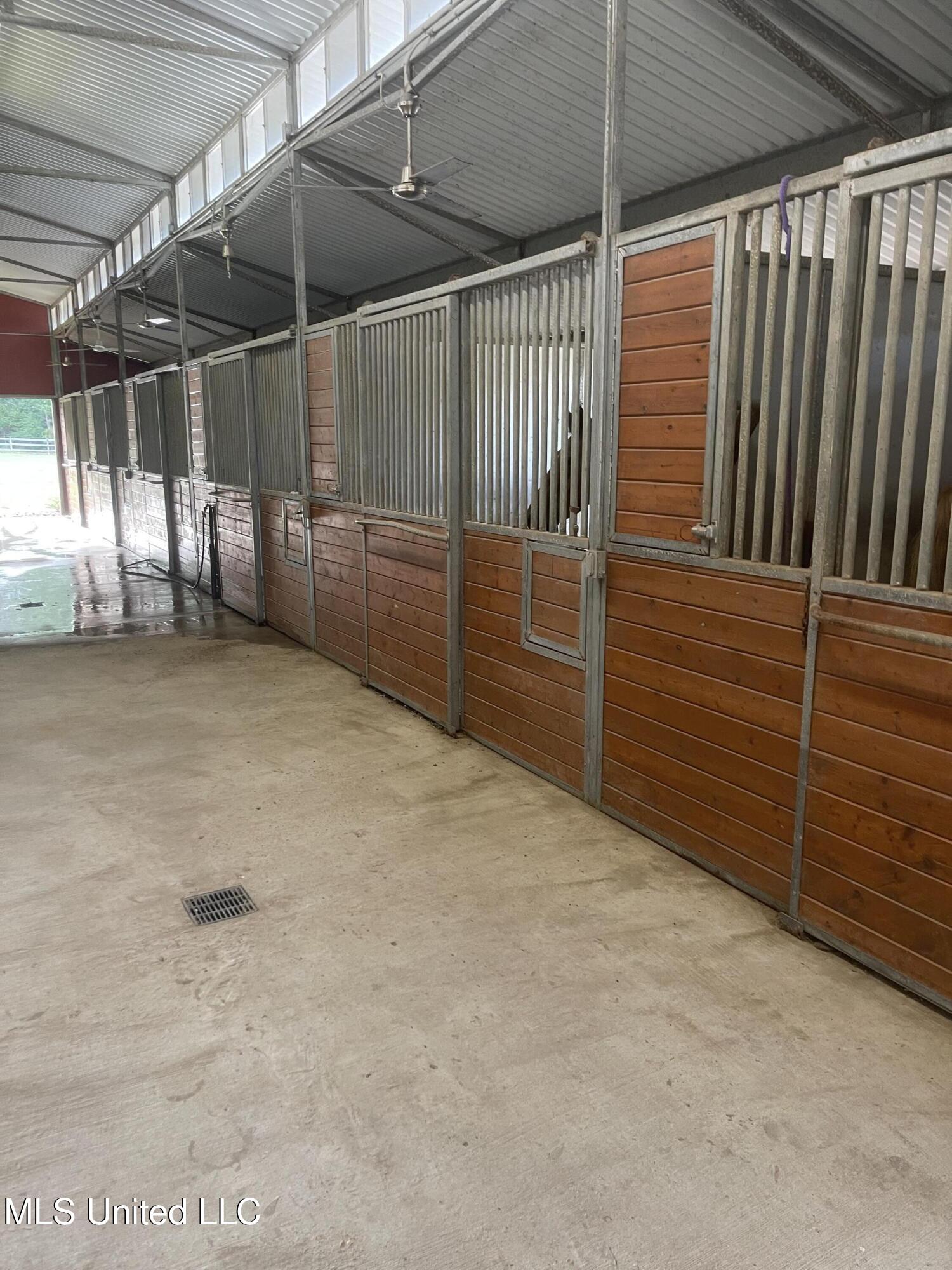 Taylor Way Brandon, MS 39047 - Photo 2 of 18 IMG_6583