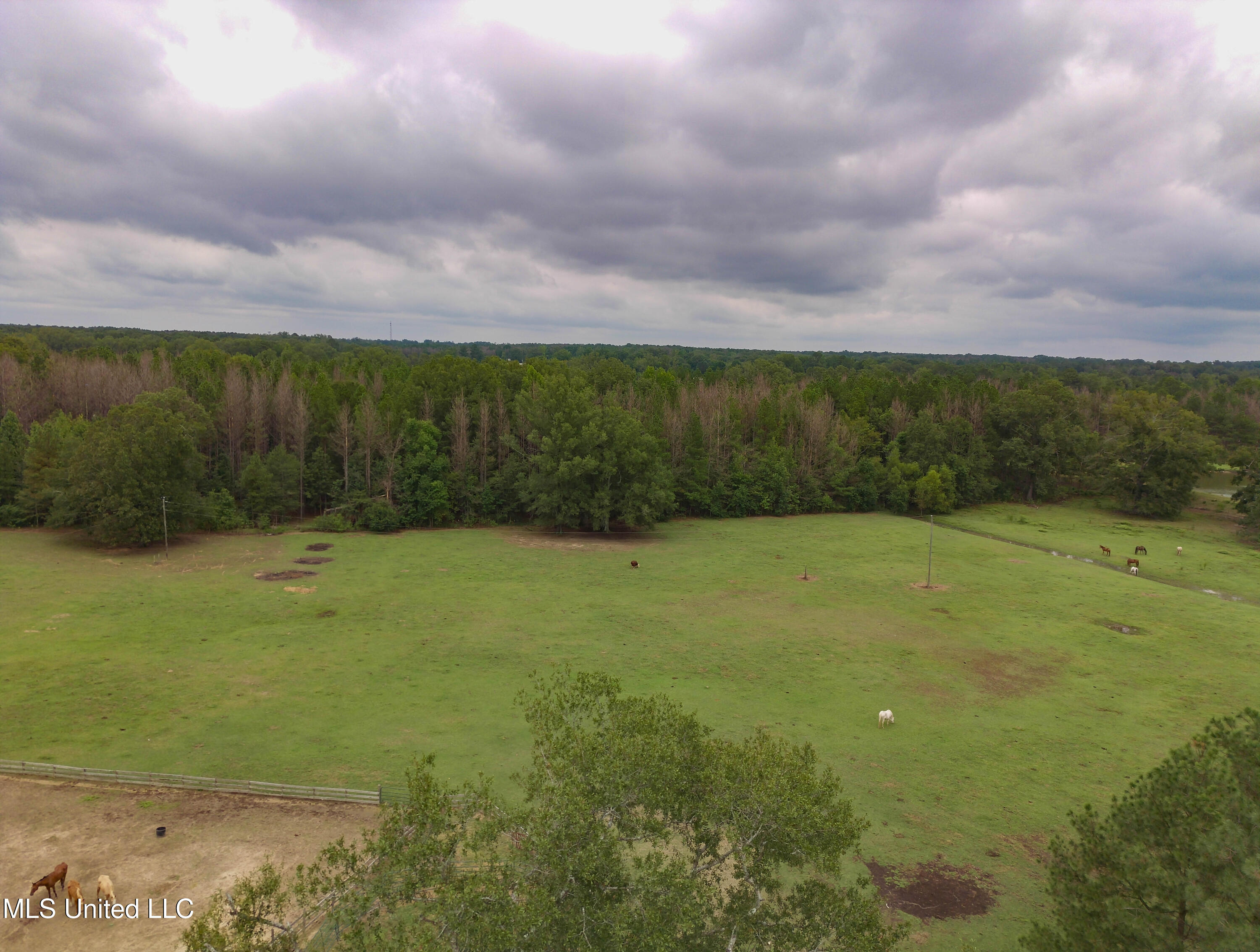 Taylor Way Brandon, MS 39047 - Photo 9 of 18 Taylor Way Brandon-10 (1)
