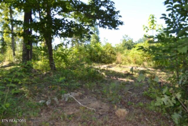 9.85-ac Rock Springs Road Celina, TN 38551 - Photo 13 of 48 DSC_0024