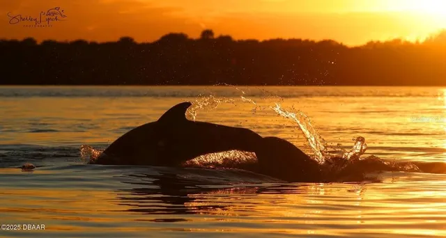 a view of ocean view