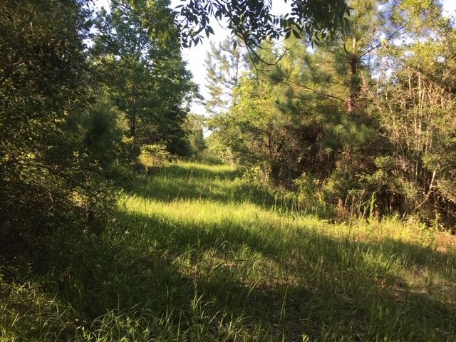 0 Container Road Andalusia, AL 36421 - Photo 3 of 10 Gallery Image 3
