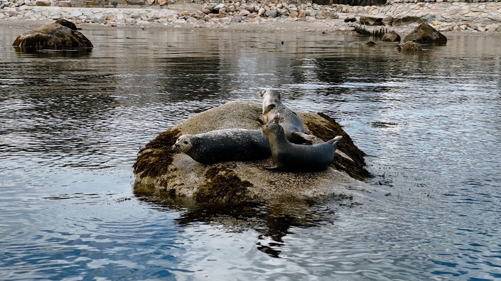 318 Center Hill Road Plymouth, MA 02360 - Photo 42 of 42