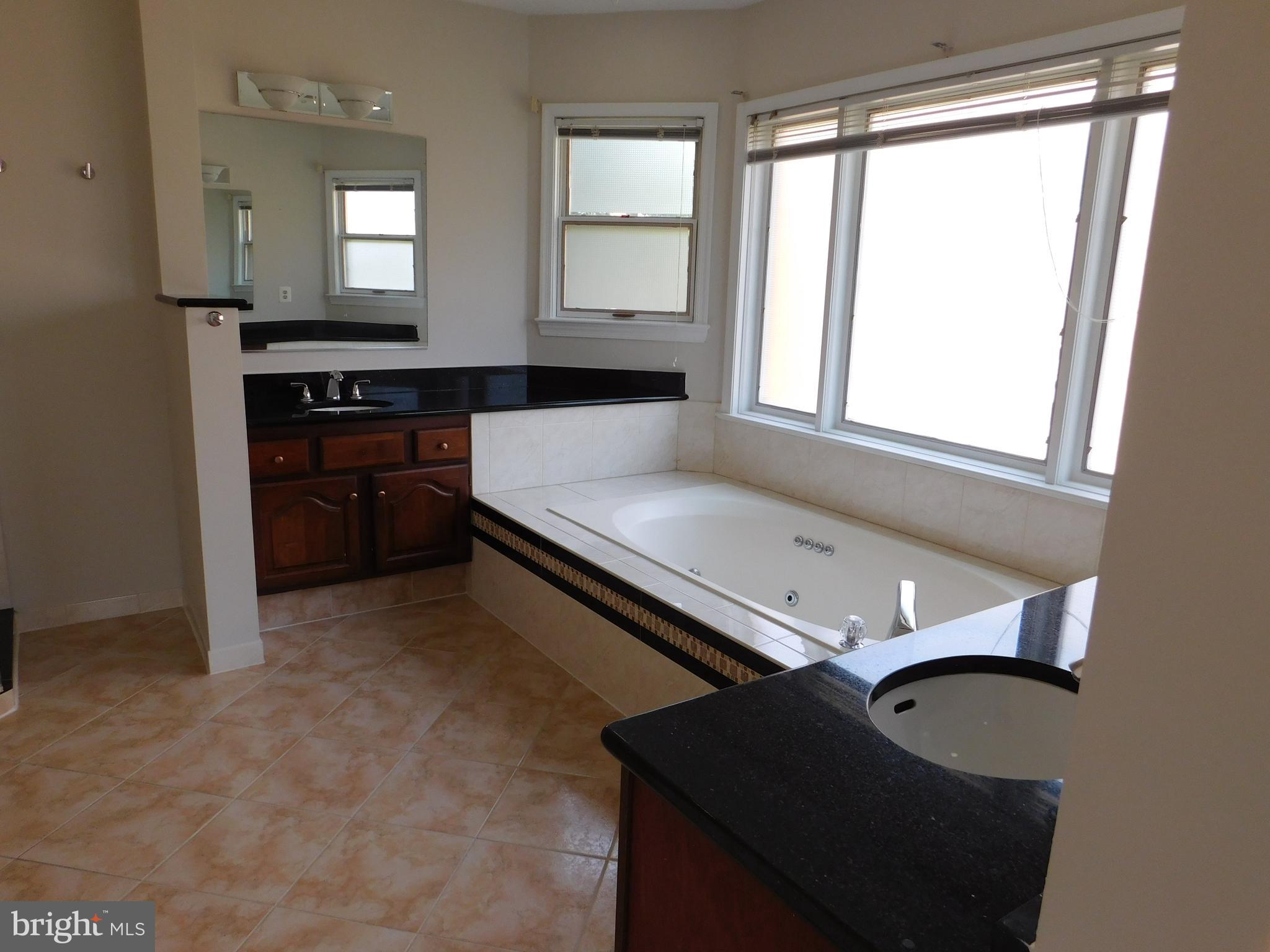 6609 Anthony Crest Square McLean, VA 22101 - Photo 17 of 31 Primary bathroom