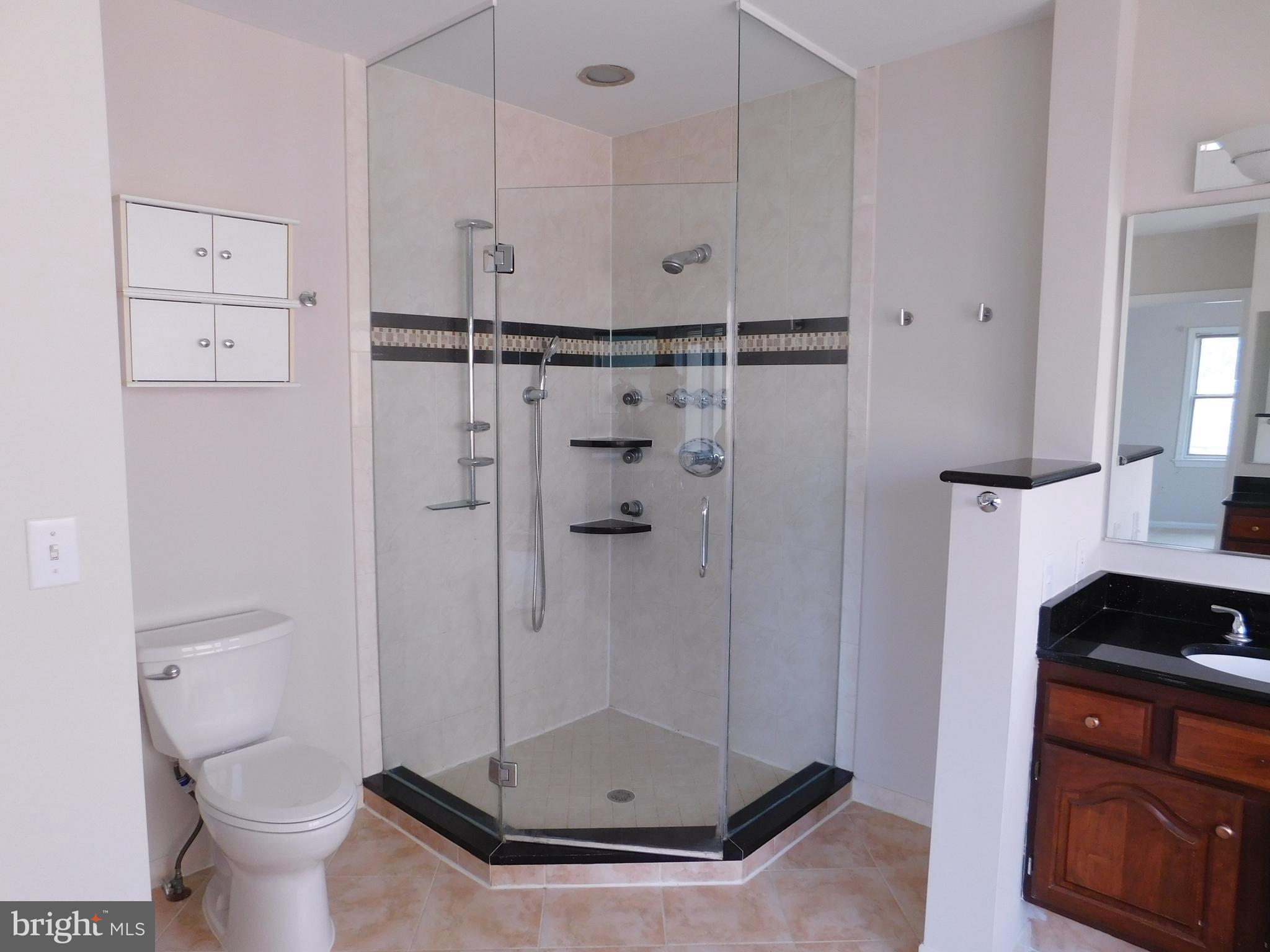 6609 Anthony Crest Square McLean, VA 22101 - Photo 18 of 31 Separate shower in primary bathroom