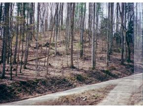 16 Banjo Ridge Road, Unit 16 Butler, TN 37640 - Photo 2 of 4 Photo 2