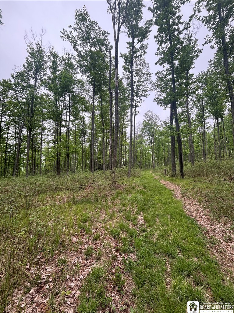 Fulmer Valley Road Wellsville, NY 14895 - Photo 31 of 49
