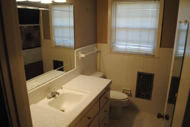 1357 A Academy Road Portland, TN 37148 - Photo 13 of 19 a bathroom with a sink toilet and shower