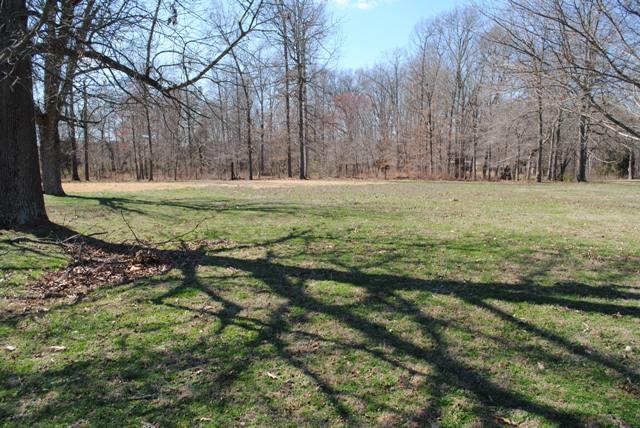 1357 A Academy Road Portland, TN 37148 - Photo 18 of 19 a view of a tree in the middle of a yard