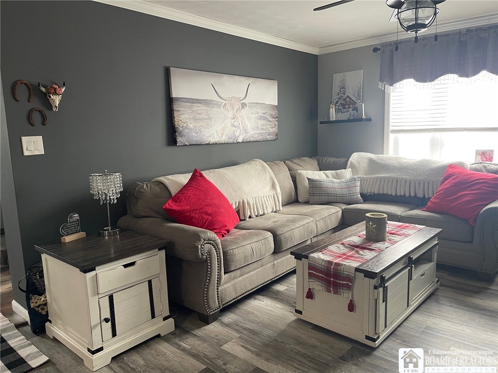 3833 Sherman Ripley Road Sherman, NY 14781 - Photo 17 of 48 Bright living area - rug is by doorway to living a