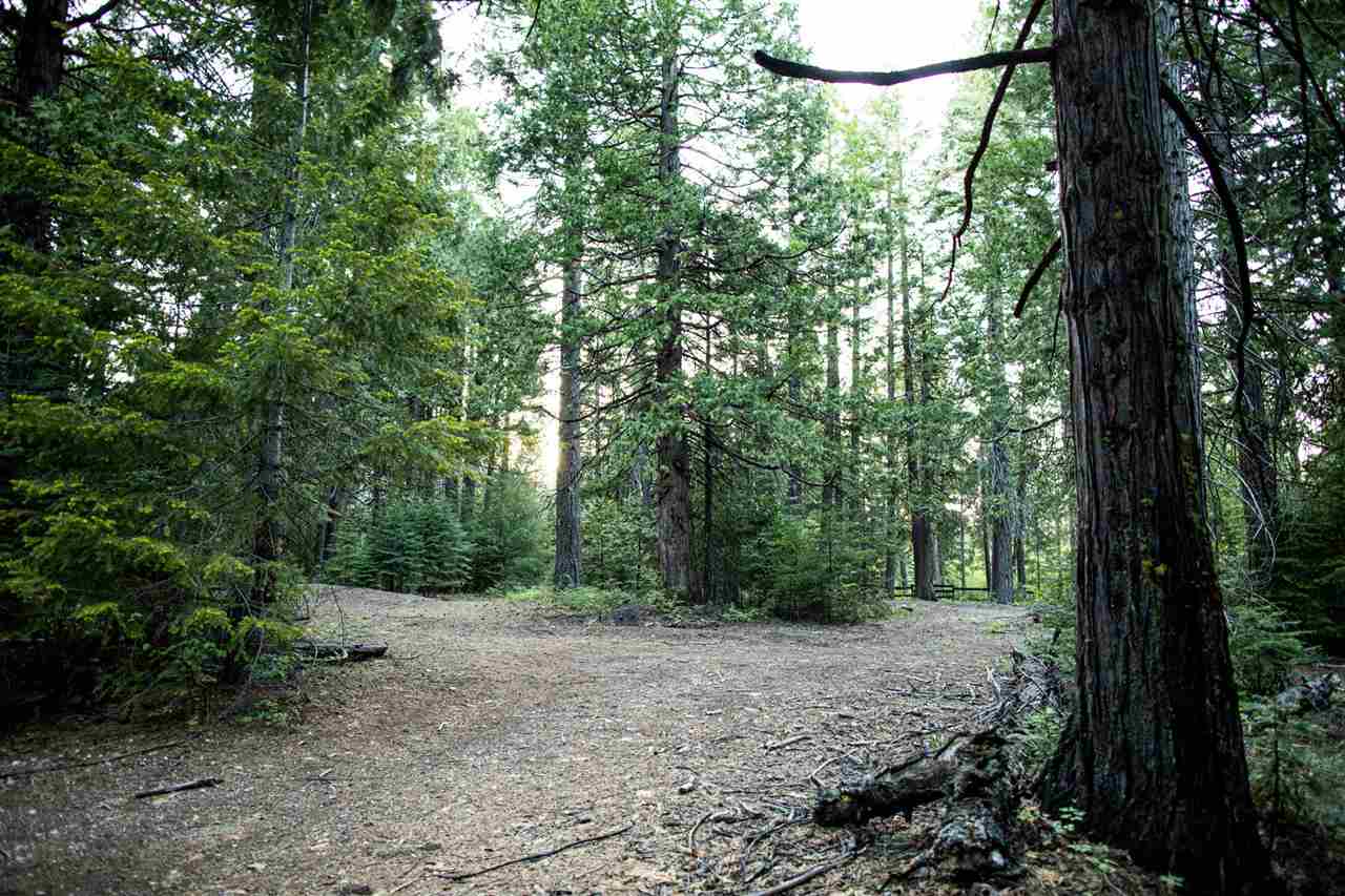 1012 Davis Place Road Mount Shasta, CA 96067 - Photo 24 of 26 Gallery Image 24