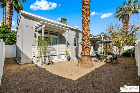 a view of a patio with plants and a large tree