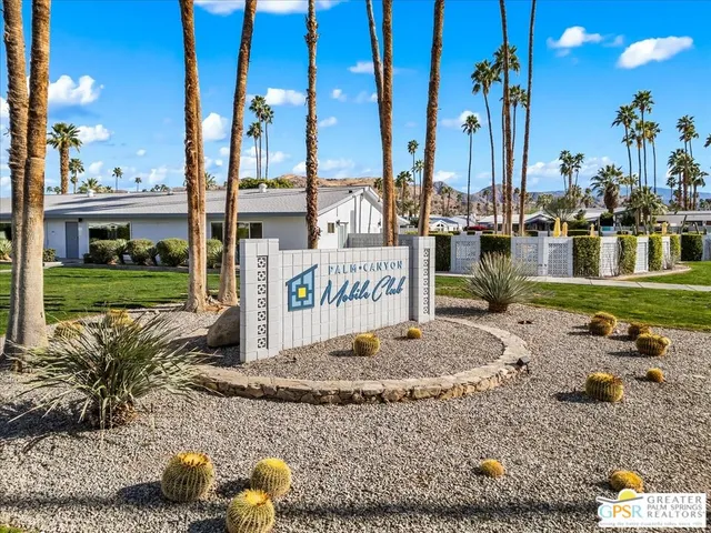 a view of a lake with a palm and palm trees