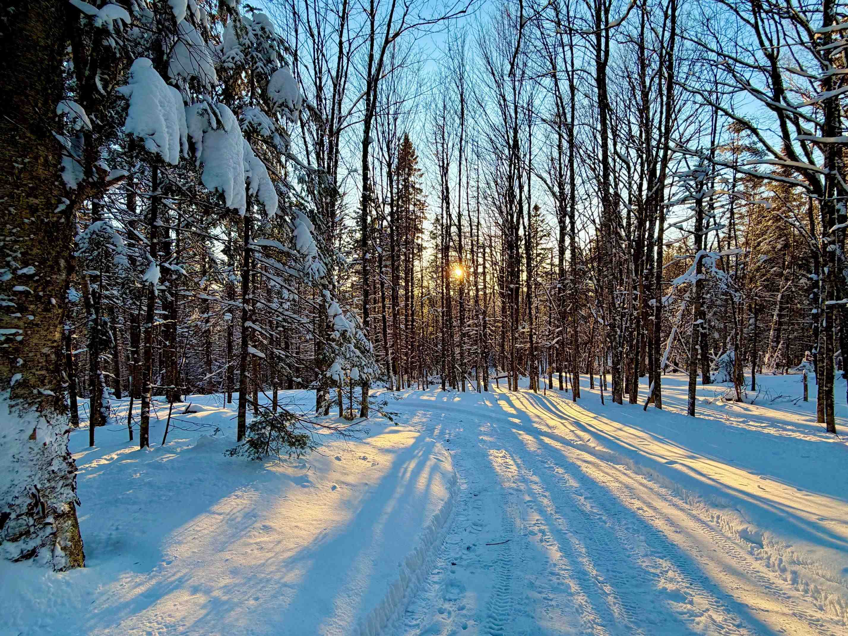 397 Mountain View Road Newark, VT 05871 - Photo 2 of 3