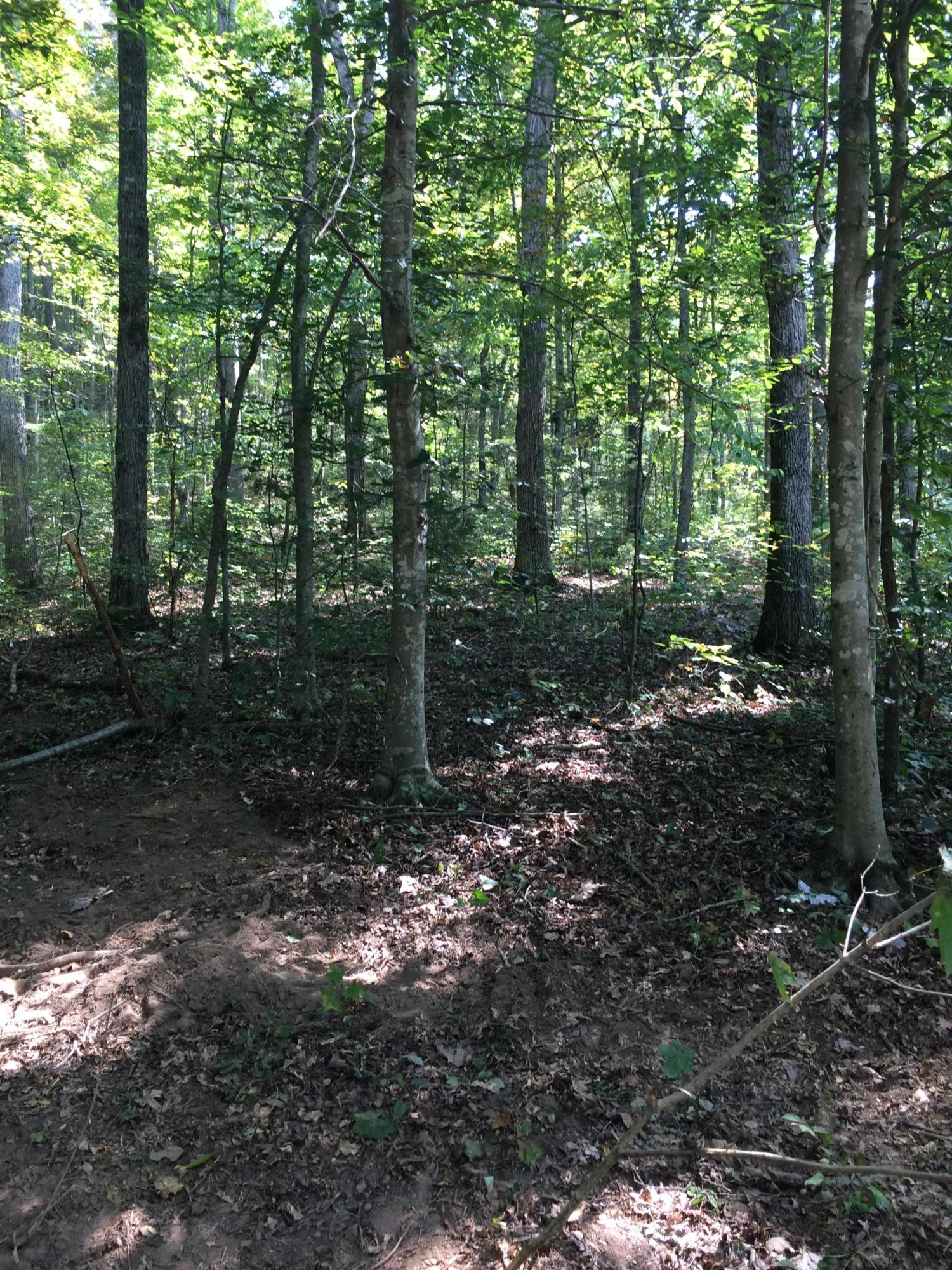 3318 Miller Road Powell, TN 37849 - Photo 22 of 29 IMG_2219