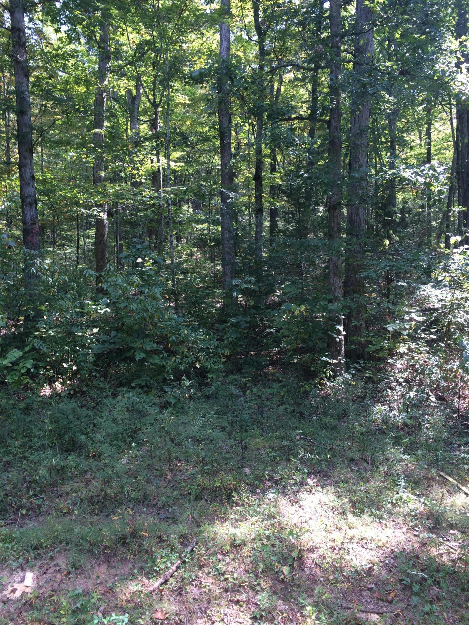 3318 Miller Road Powell, TN 37849 - Photo 23 of 29 IMG_2208