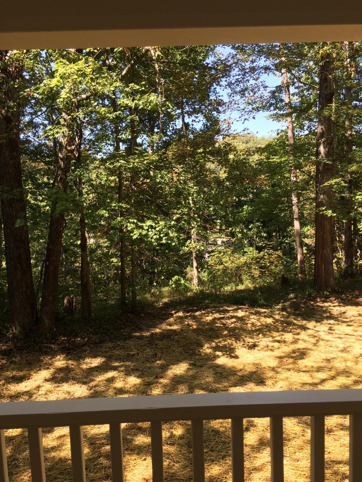 3318 Miller Road Powell, TN 37849 - Photo 25 of 29 view from front porch
