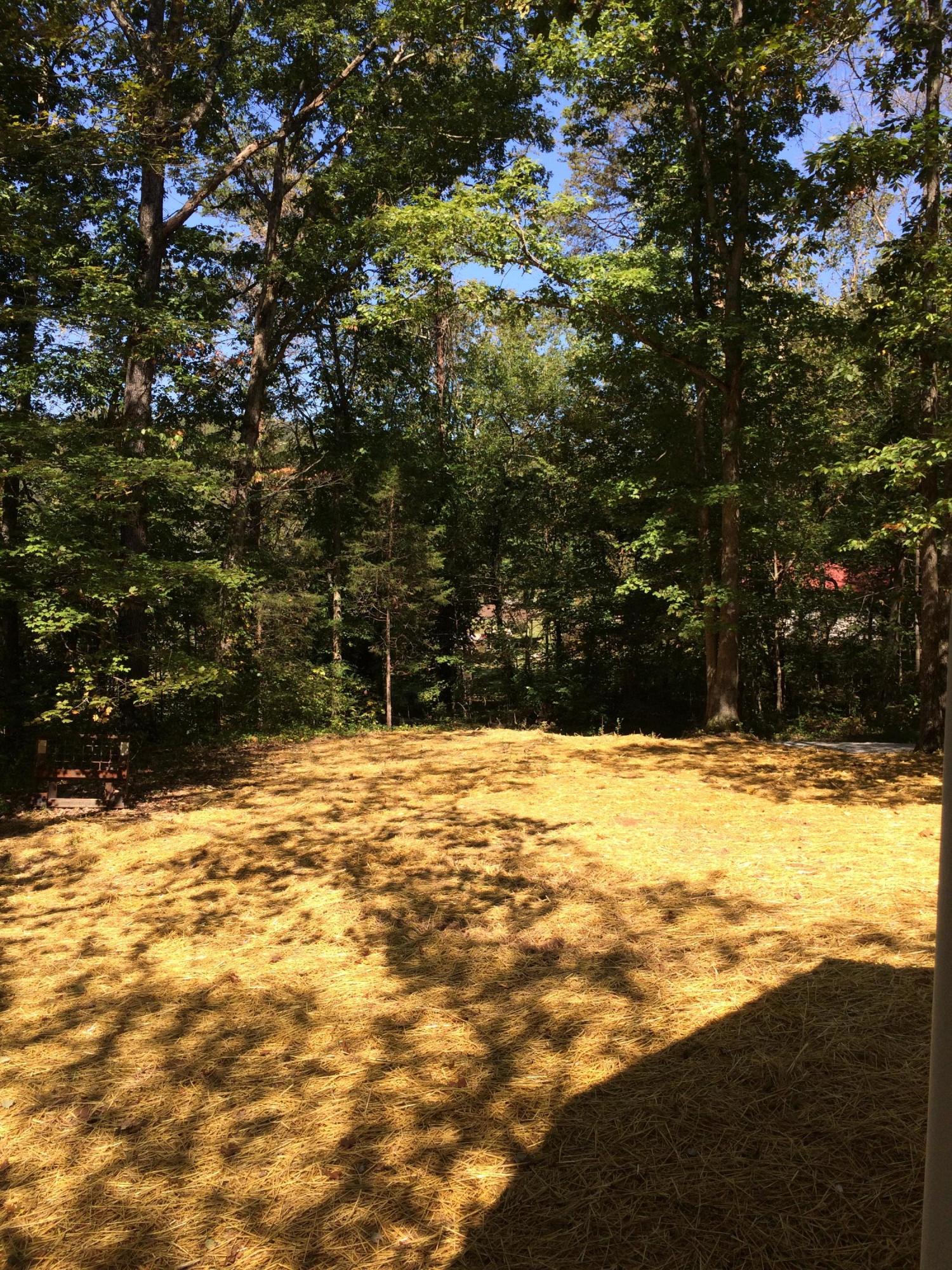 3318 Miller Road Powell, TN 37849 - Photo 26 of 29 IMG_2277