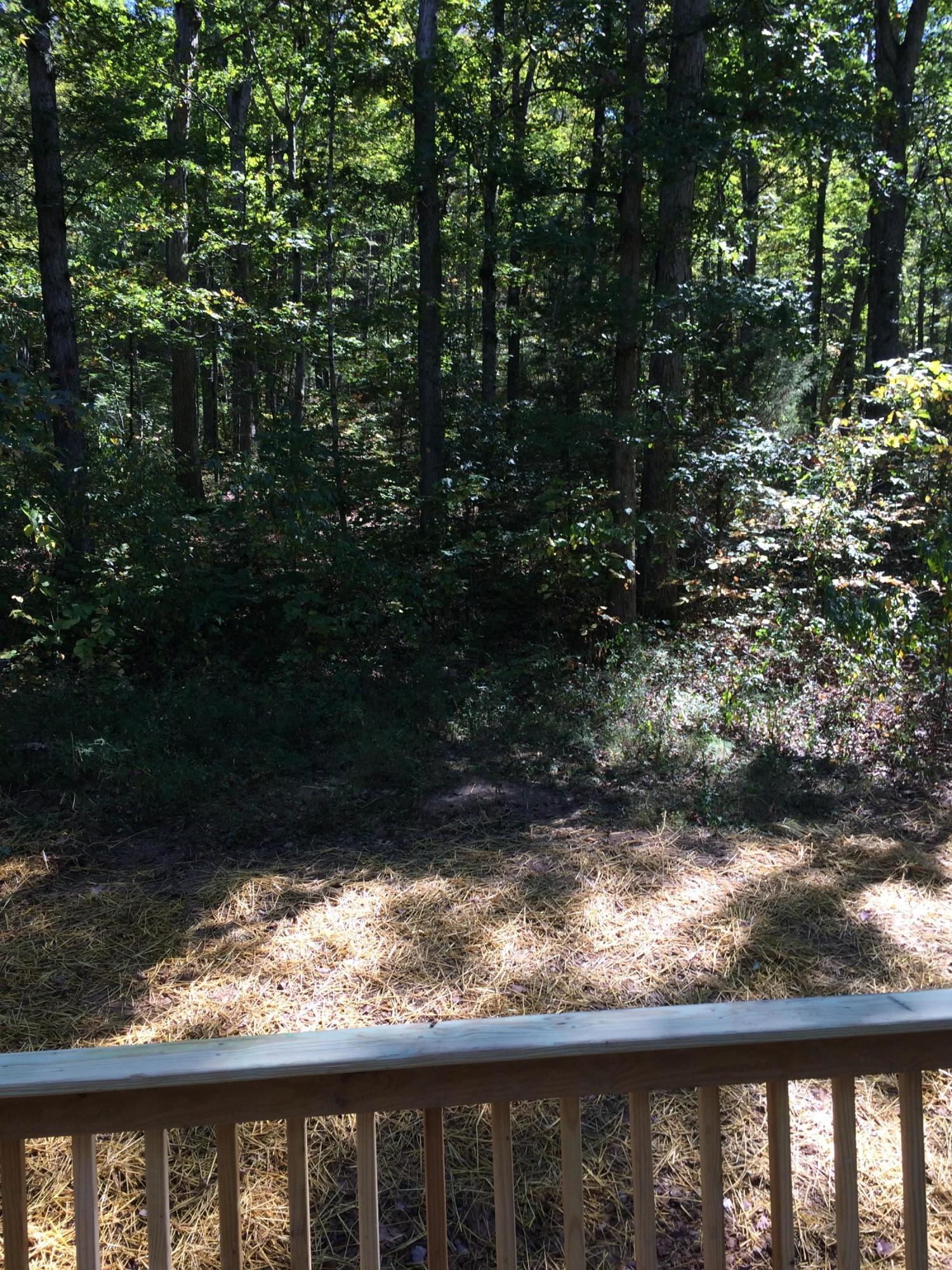 3318 Miller Road Powell, TN 37849 - Photo 27 of 29 view from back deck