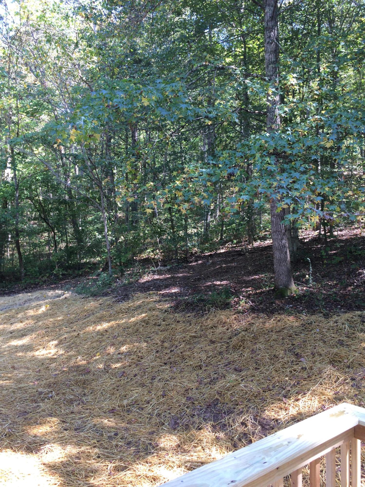3318 Miller Road Powell, TN 37849 - Photo 28 of 29 IMG_2281