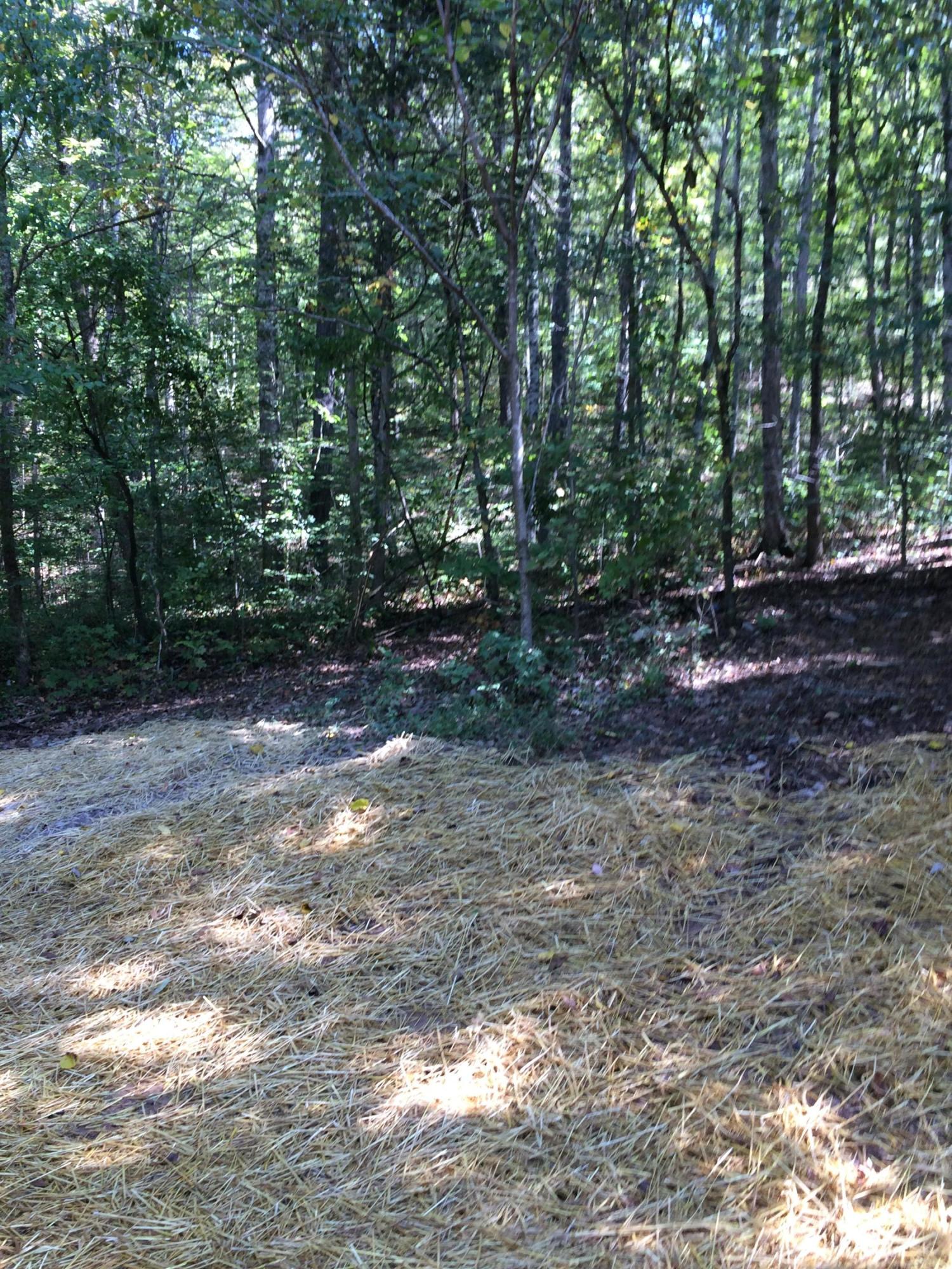 3318 Miller Road Powell, TN 37849 - Photo 29 of 29 IMG_2285