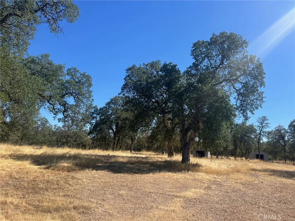 16185 Caribou Road Cottonwood, CA 96022 - Photo 15 of 21 land