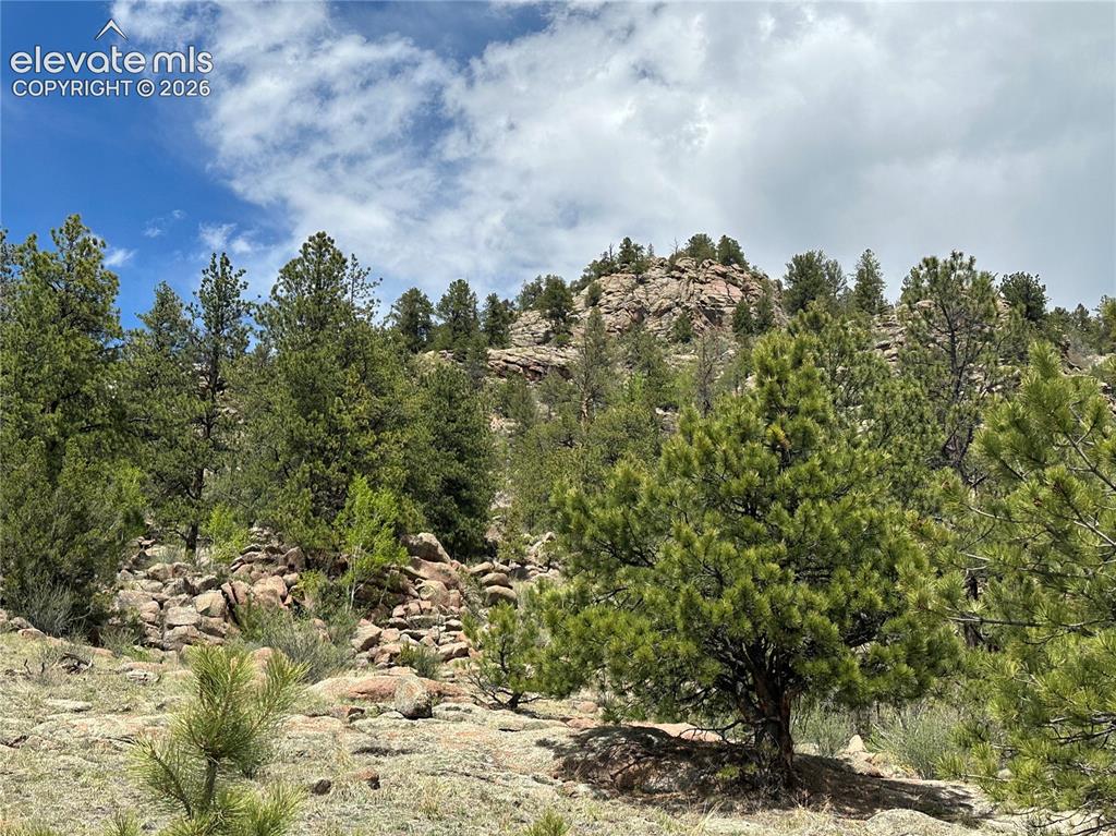 2332 County Road Florissant, CO 80816 - Photo 10 of 20 Gallery Image 10