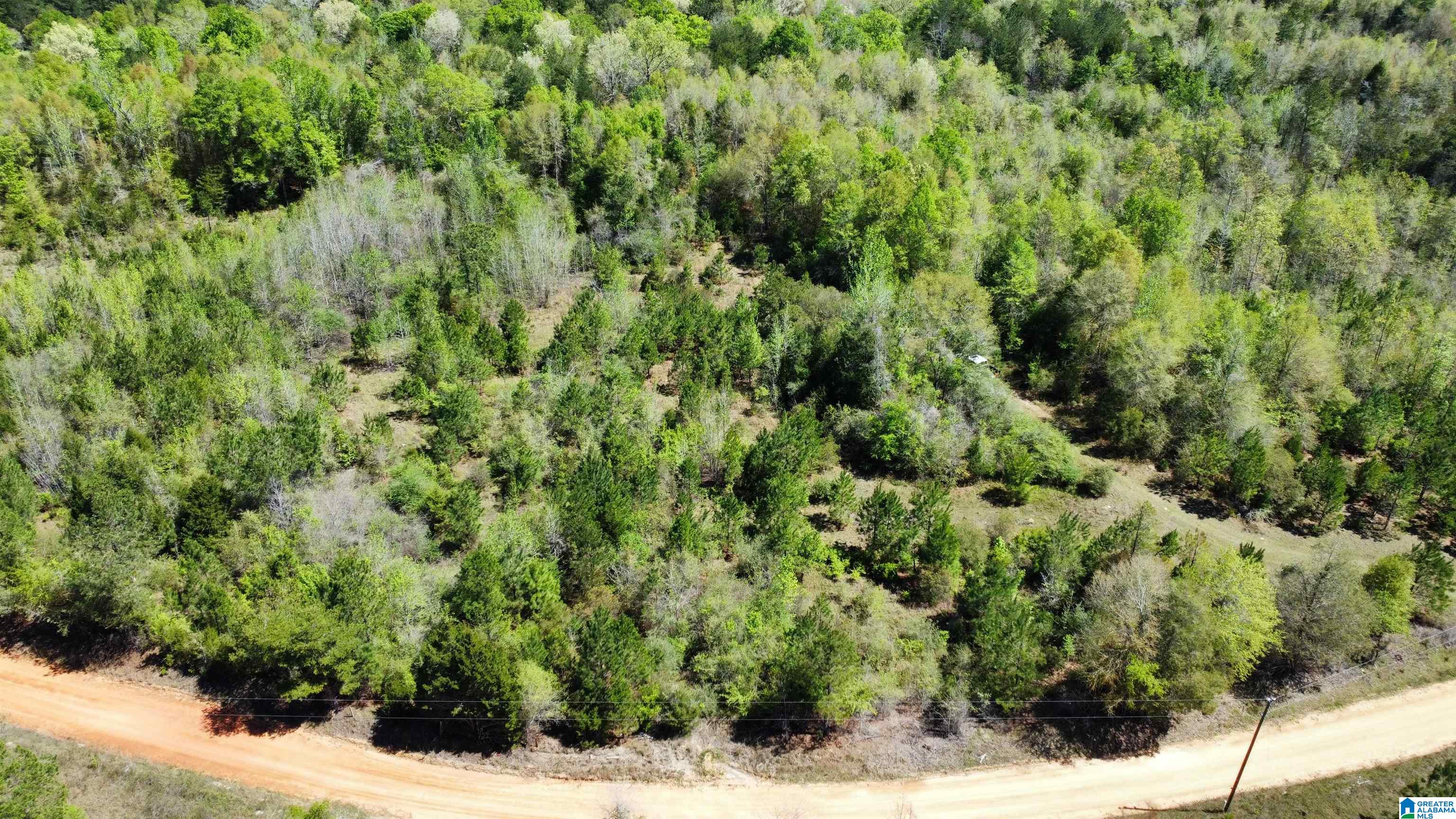 0 Richardson Road Brewton, AL 36426 - Photo 5 of 47