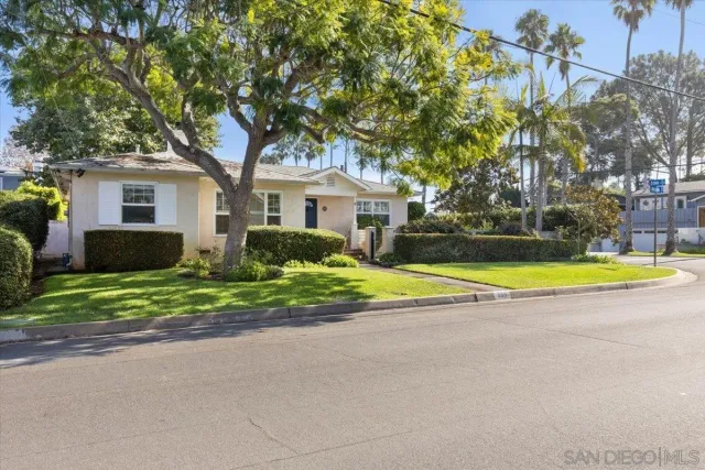 a view of house with a yard and palm trees