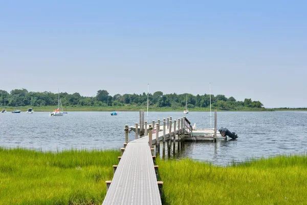 a view of a lake with a large trees