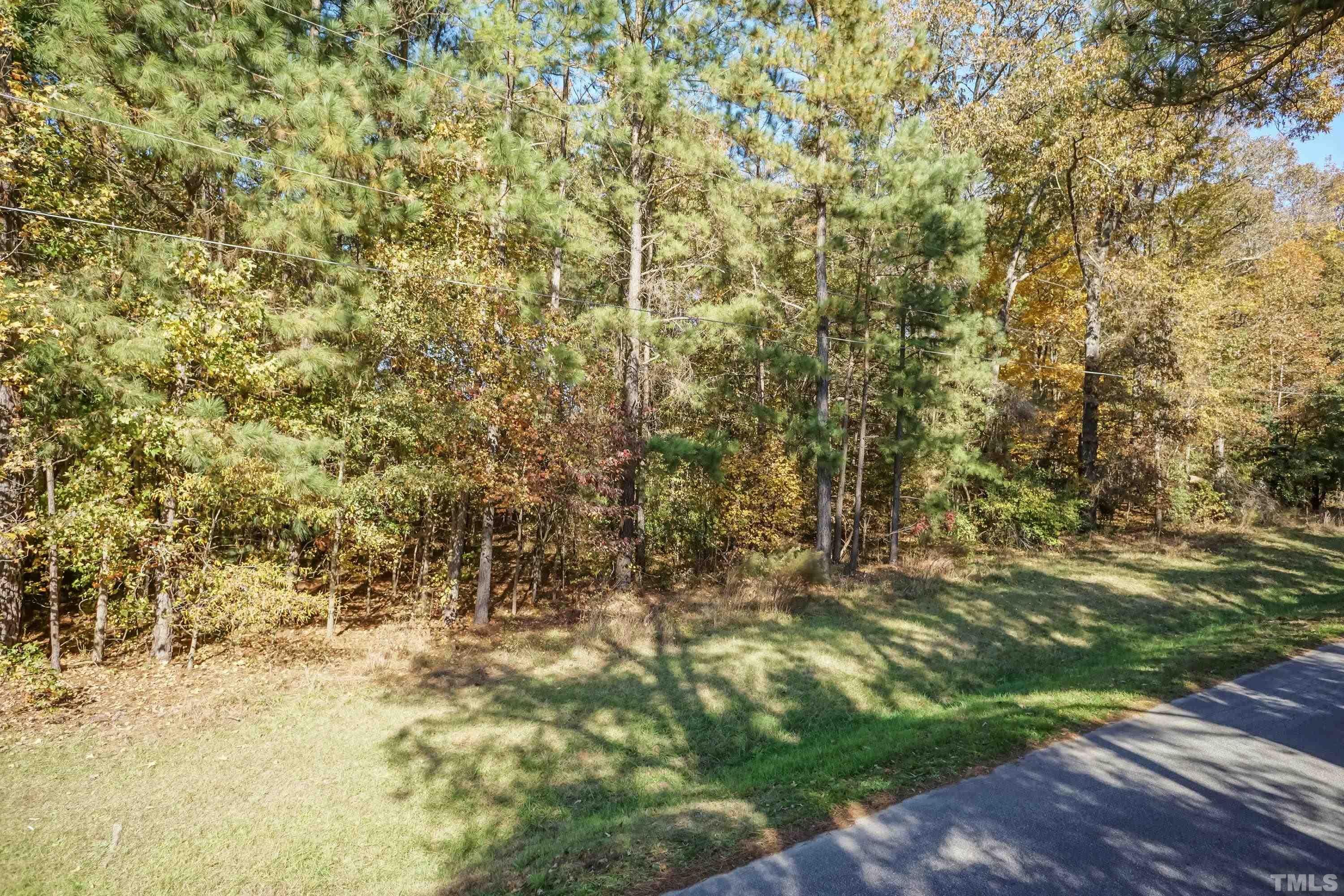 a view of a yard with a tree