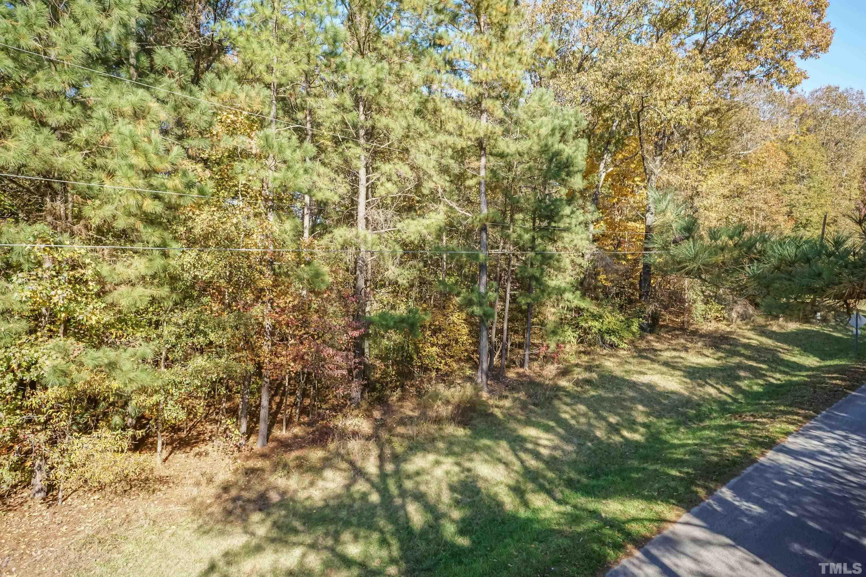 3325 Leonard Road Raleigh, NC 27610 - Photo 2 of 7 a view of a yard with a tree