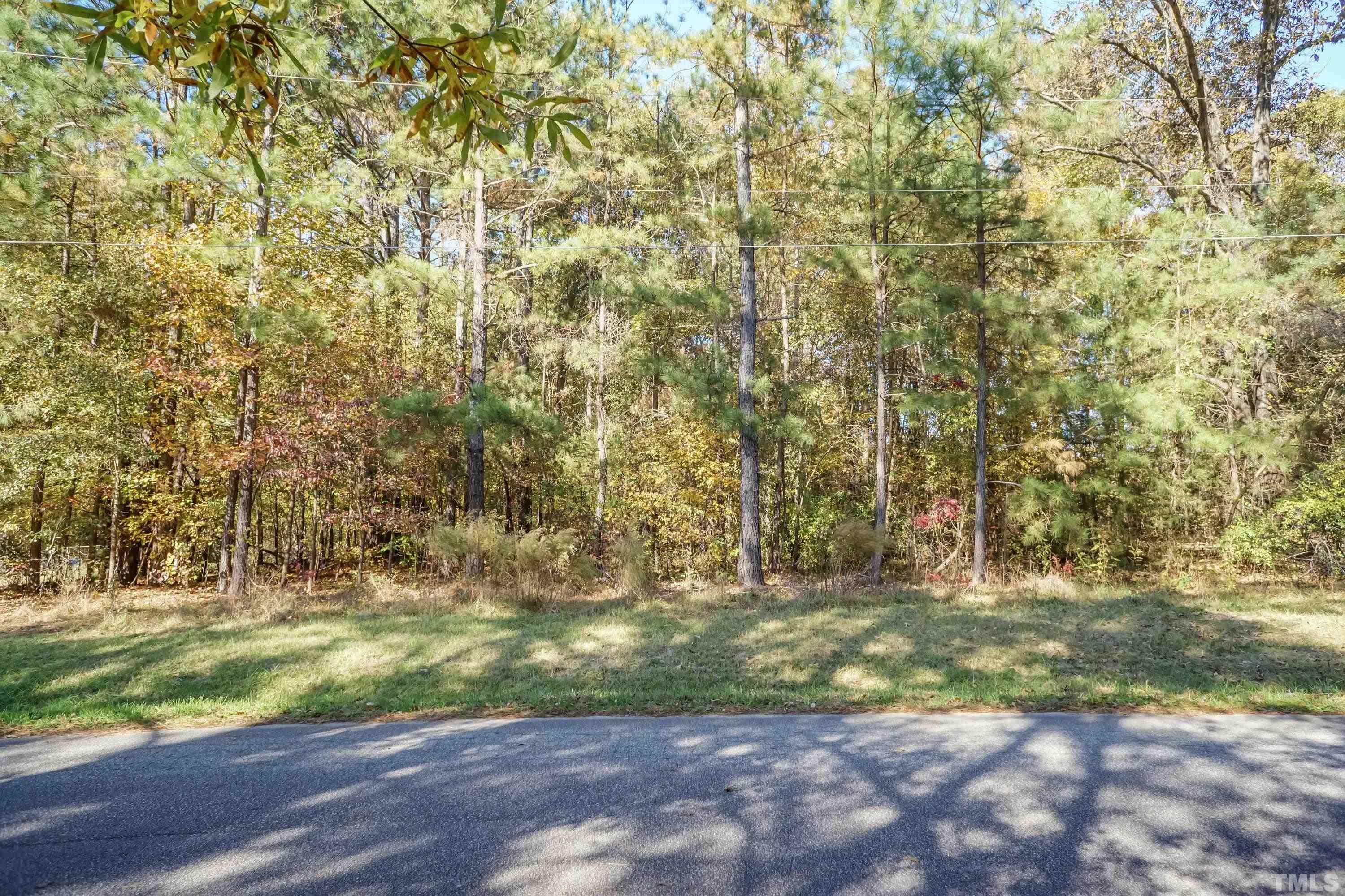 3325 Leonard Road Raleigh, NC 27610 - Photo 3 of 7 a view of outdoor space and yard