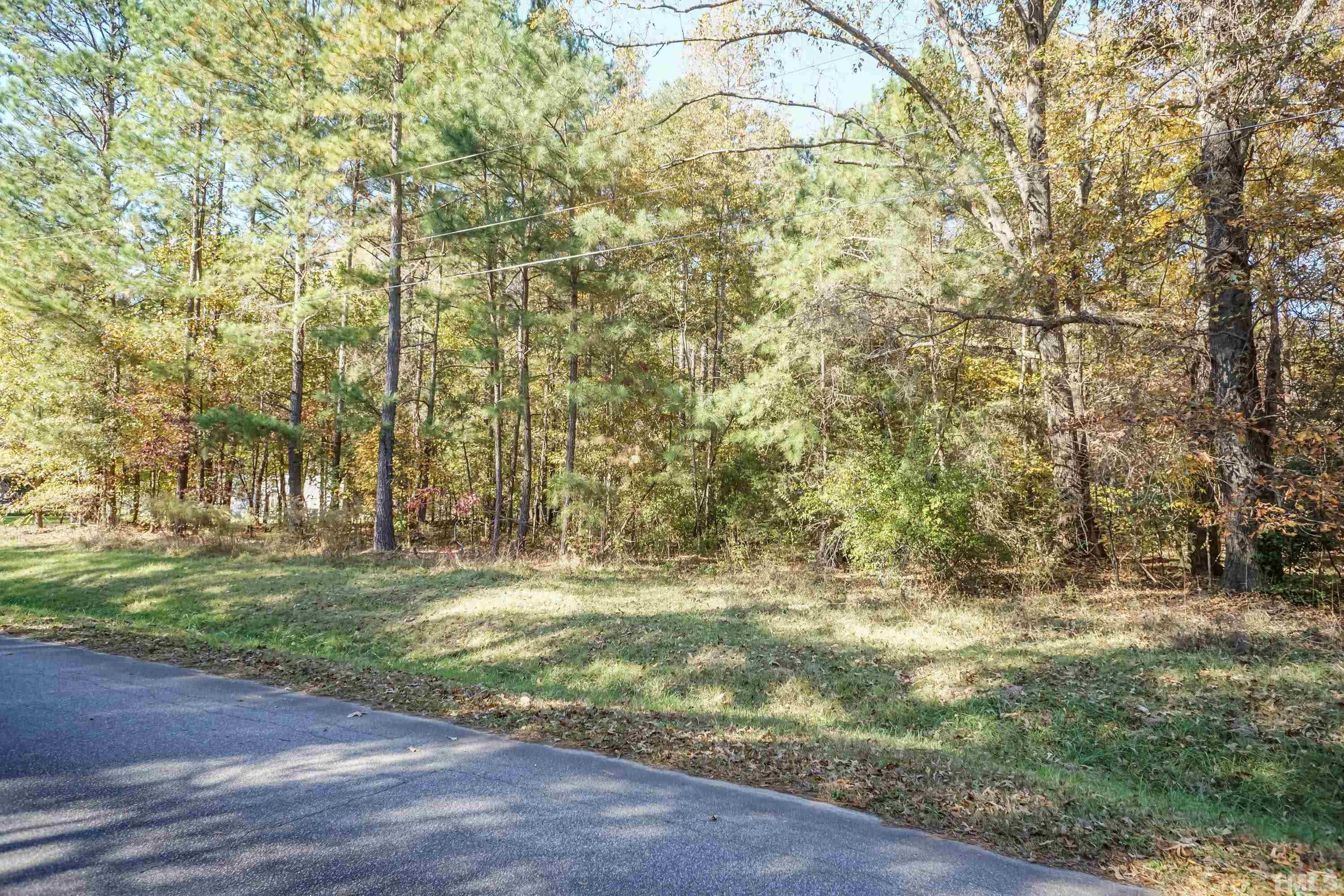 3325 Leonard Road Raleigh, NC 27610 - Photo 4 of 7 a view of yard with trees