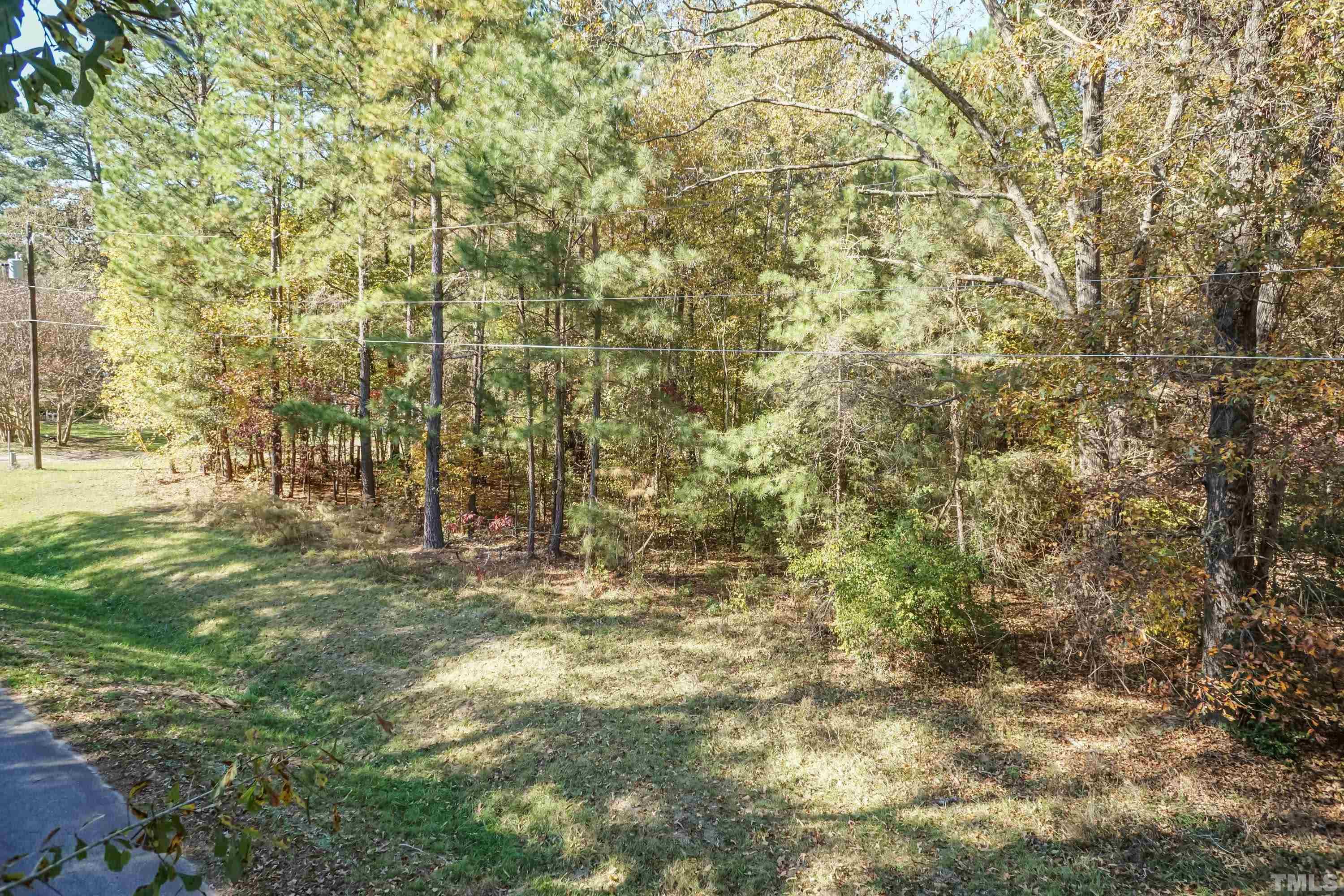 3325 Leonard Road Raleigh, NC 27610 - Photo 5 of 7 a view of a yard with trees